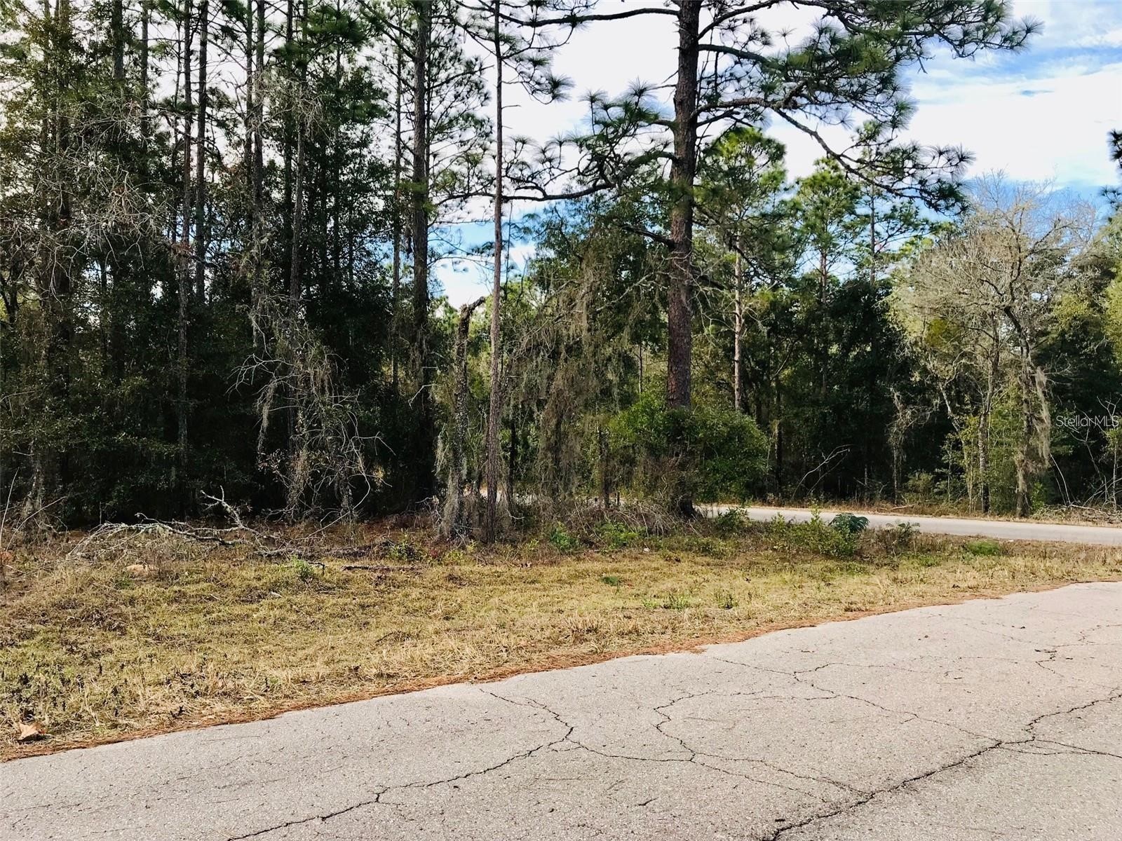 TBD NE 15th Street Williston FL 32696 O6184312 image1