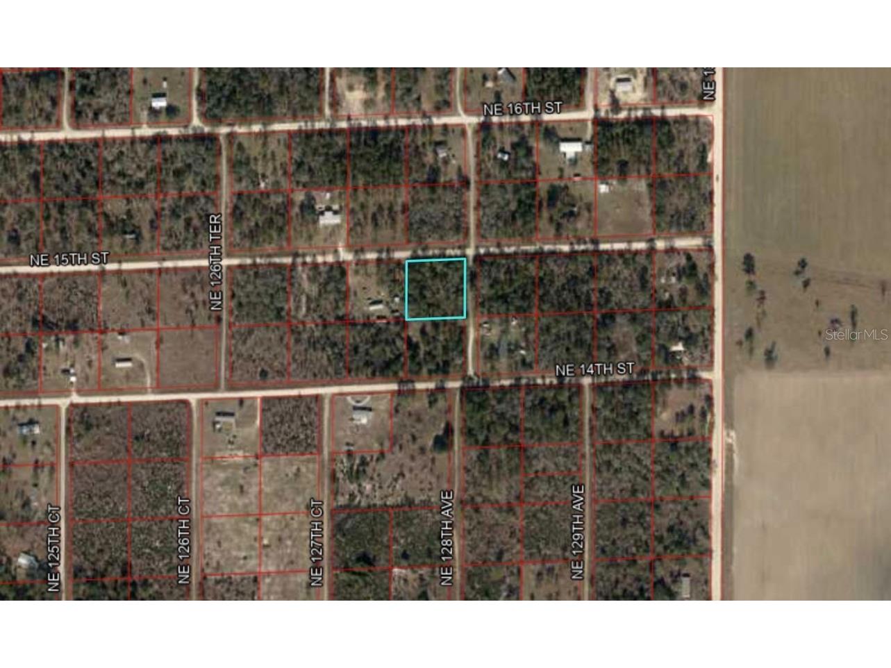 TBD NE 15th Street Williston FL 32696 OM712030 image2