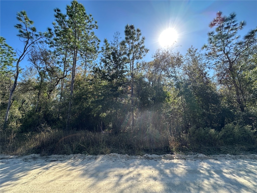 TBD NE 15th Street Williston FL 32696 OM712030 image3