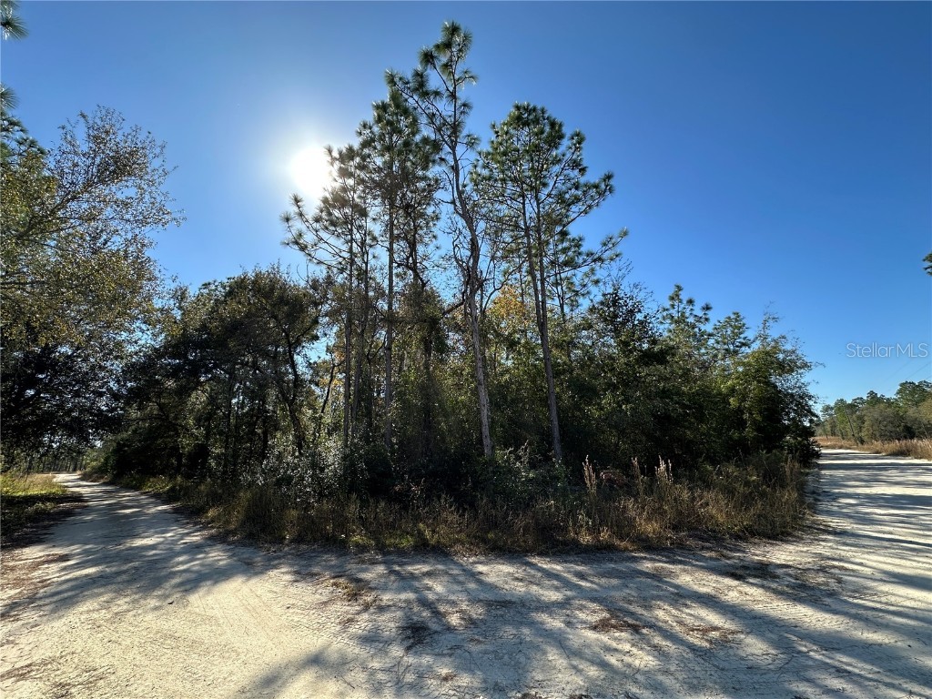 TBD NE 15th Street Williston FL 32696 OM712030 image4