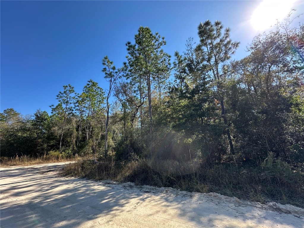 TBD NE 15th Street Williston FL 32696 OM712030 image5