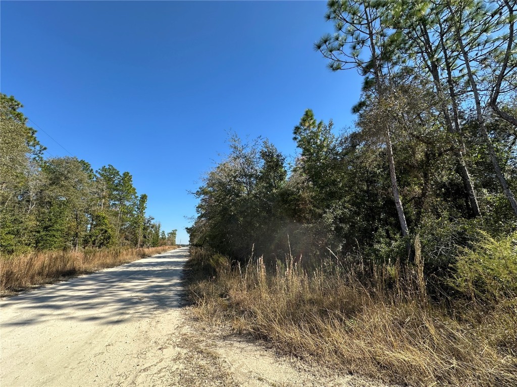 TBD NE 15th Street Williston FL 32696 OM712030 image6