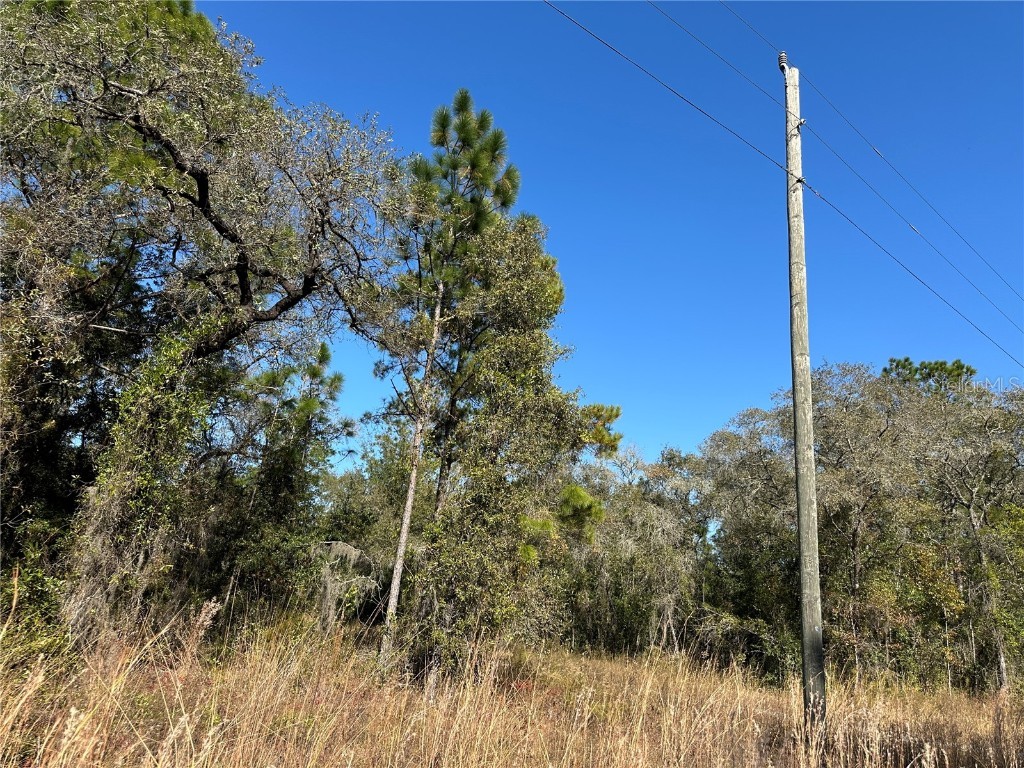 TBD NE 15th Street Williston FL 32696 OM712030 image7