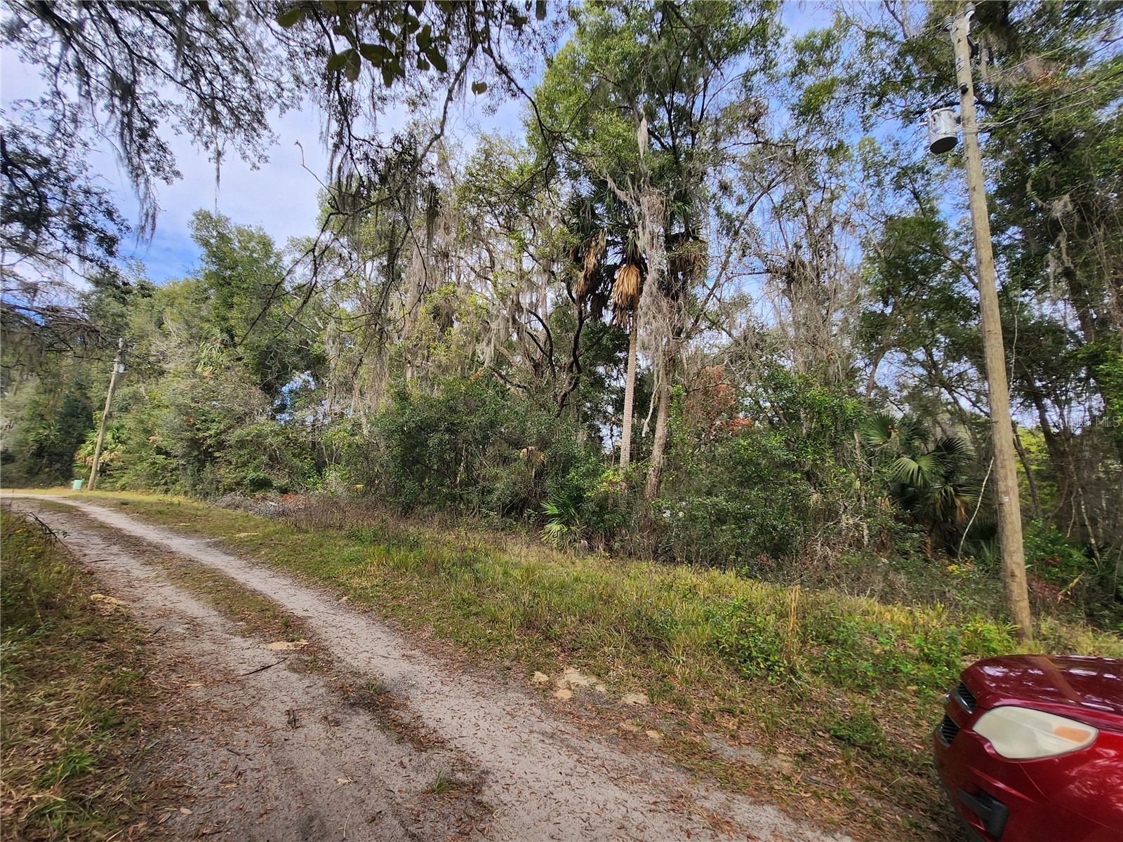 TBD NE 164th Place Citra FL 32113 OM716362 image2