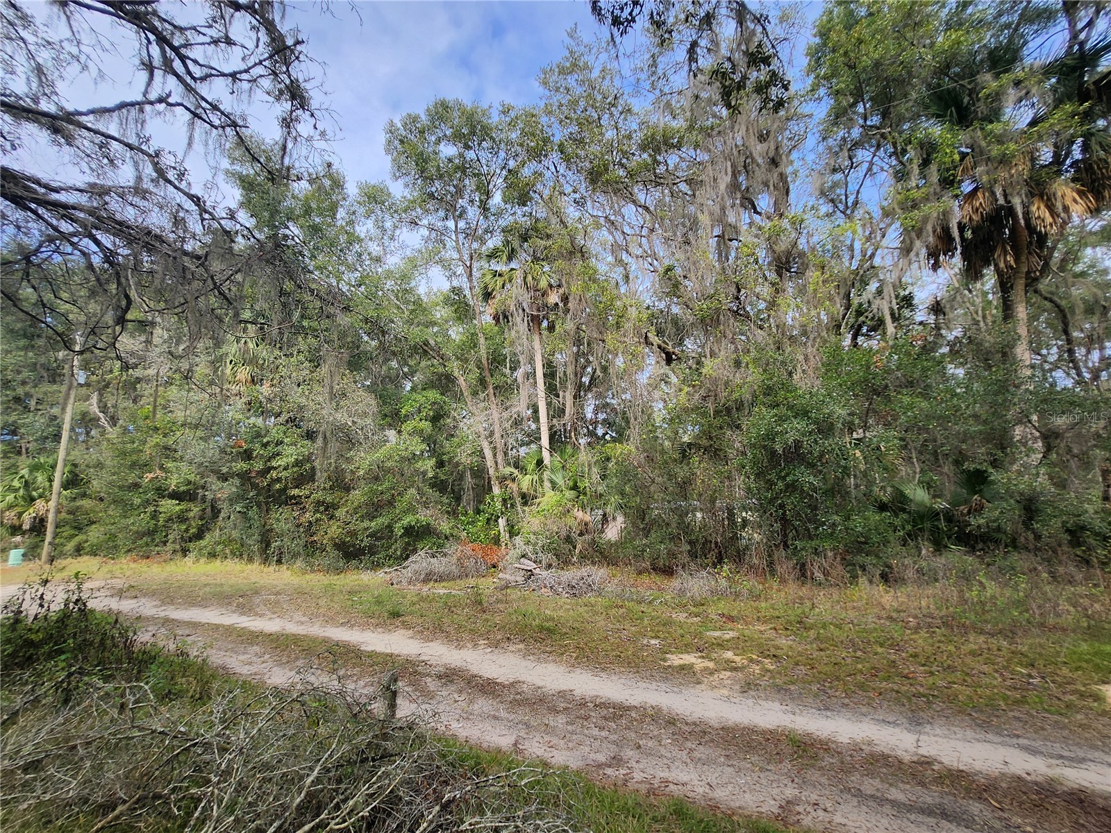 TBD NE 164th Place Citra FL 32113 OM716362 image4