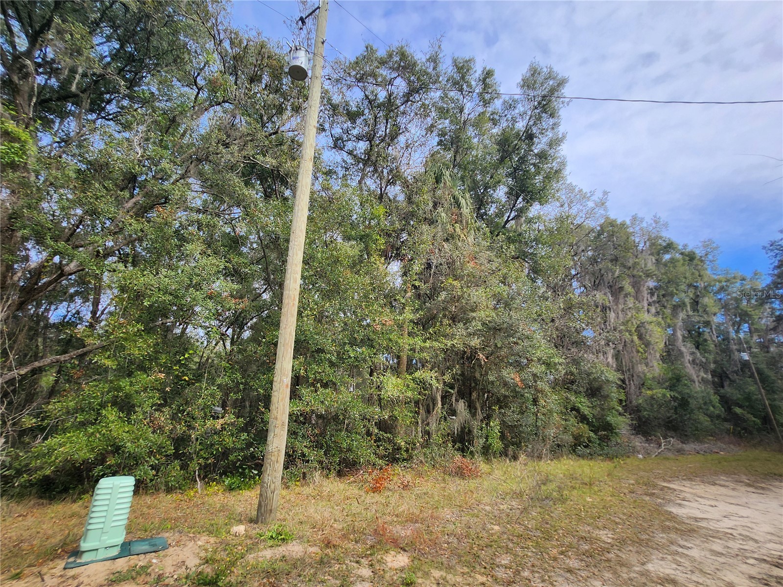 TBD NE 164th Place Citra FL 32113 OM716362 image5