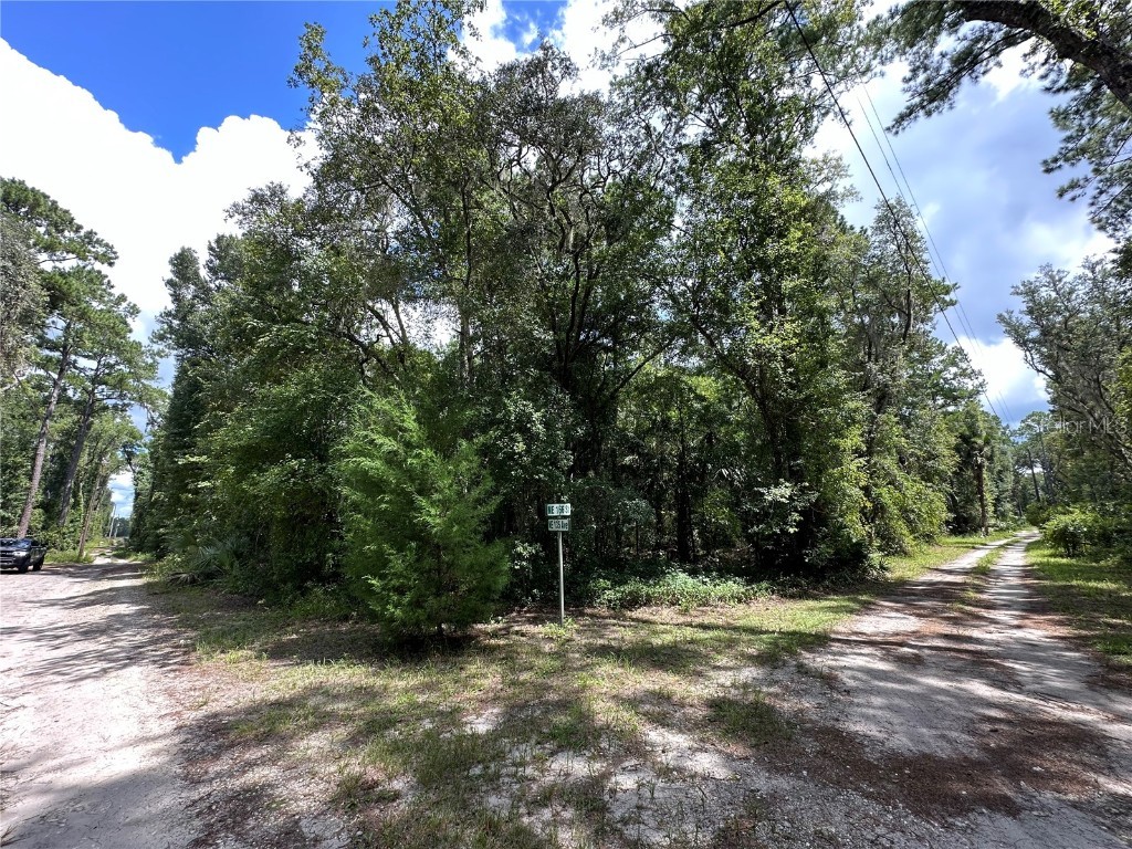 TBD NE 166 Street Fort Mc Coy FL 32134 OM684955 image1