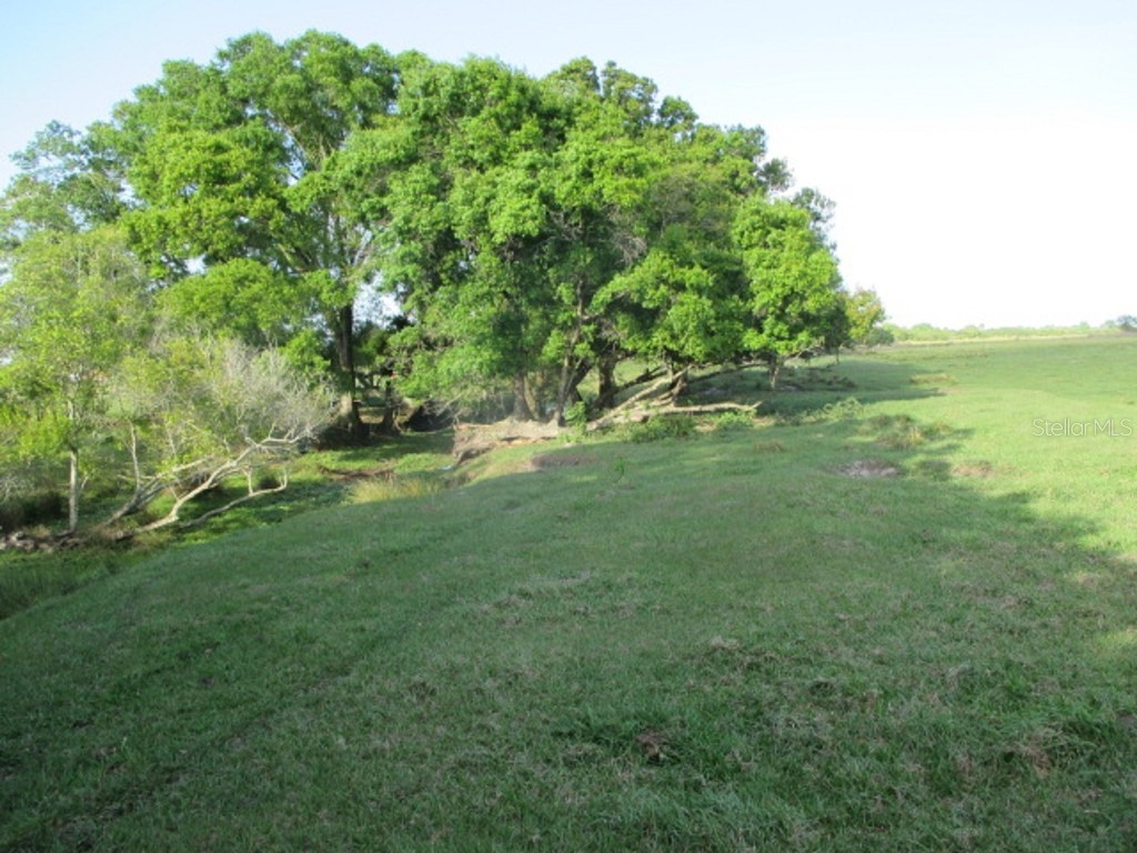 TBD NE 168th Street Okeechobee FL 34972 OK221173 image10