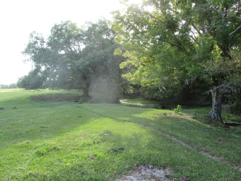 TBD NE 168th Street Okeechobee FL 34972 OK221173 image14