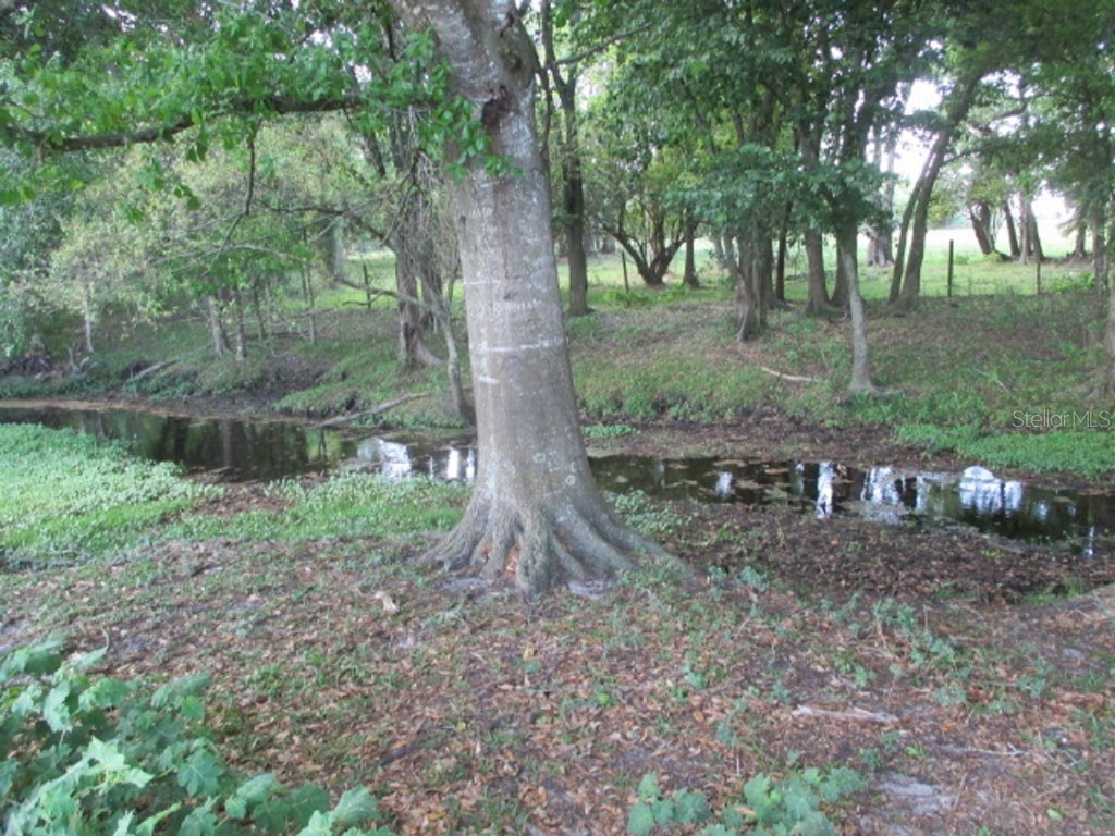 TBD NE 168th Street Okeechobee FL 34972 OK221173 image16