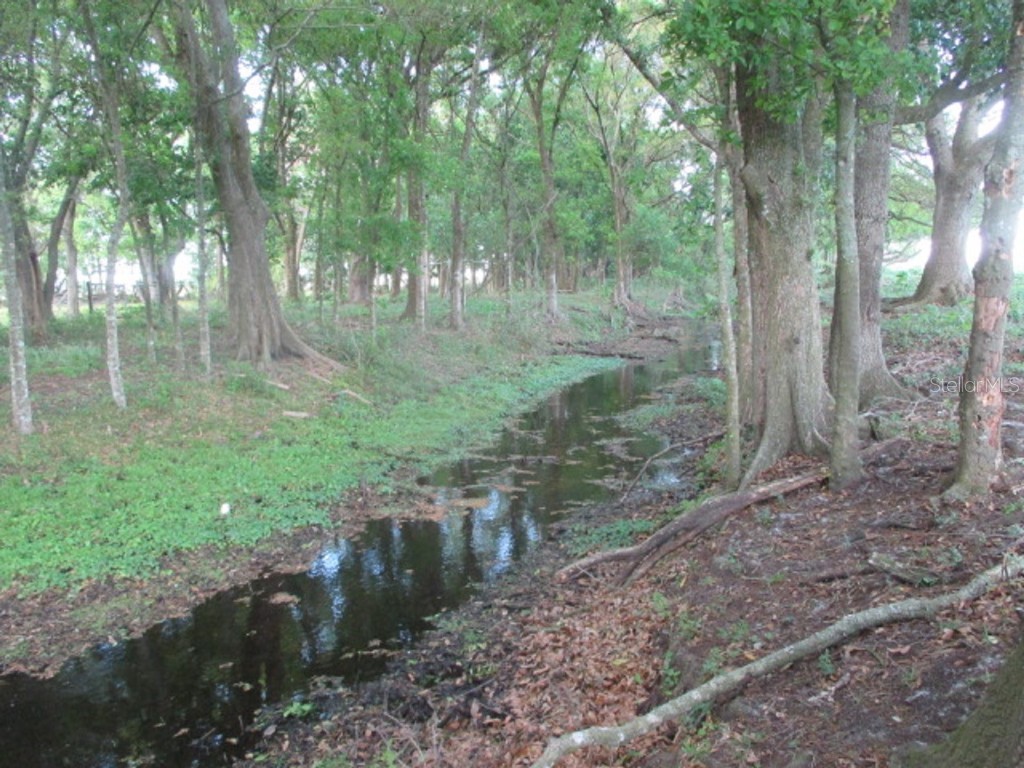 TBD NE 168th Street Okeechobee FL 34972 OK221173 image18