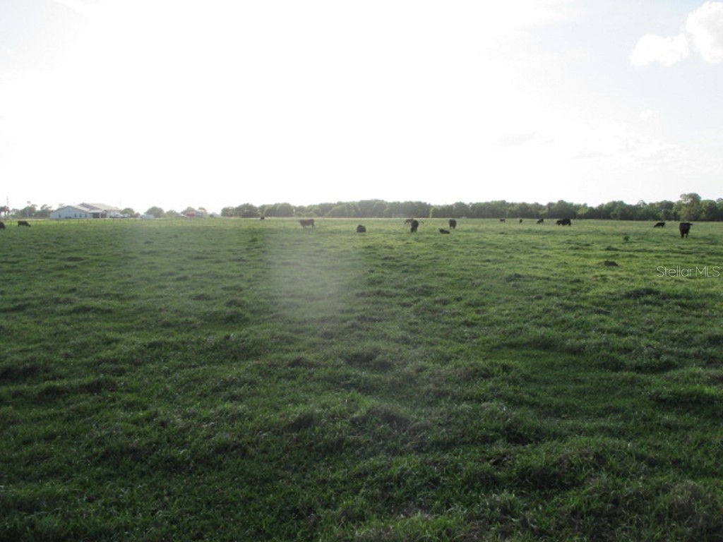 TBD NE 168th Street Okeechobee FL 34972 OK221173 image3