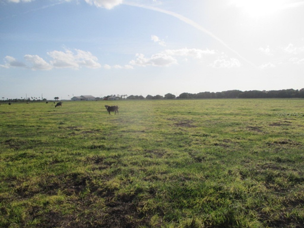 TBD NE 168th Street Okeechobee FL 34972 OK221173 image7