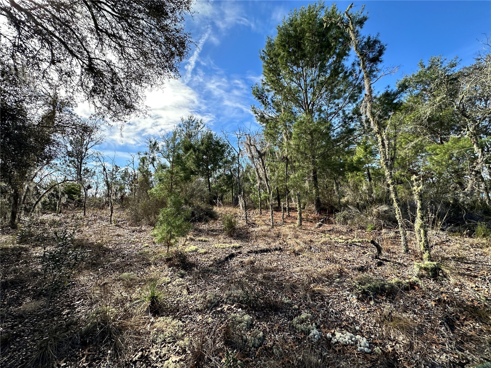 TBD NE 16th Lane Williston FL 32696 OM717199 image1