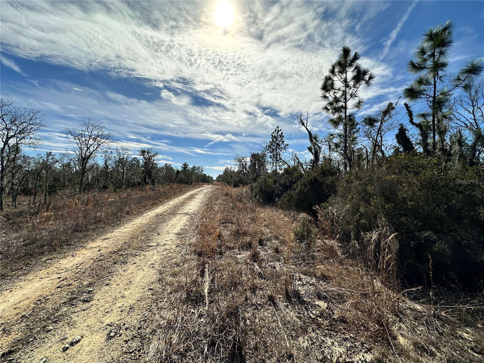 TBD NE 16th Lane Williston FL 32696 OM717199 image5