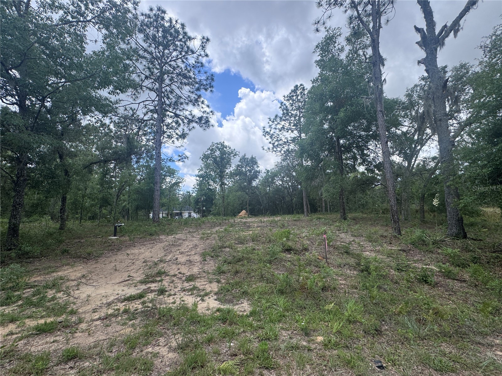 TBD NE 16th Place Williston FL 32696 OM724593 image2