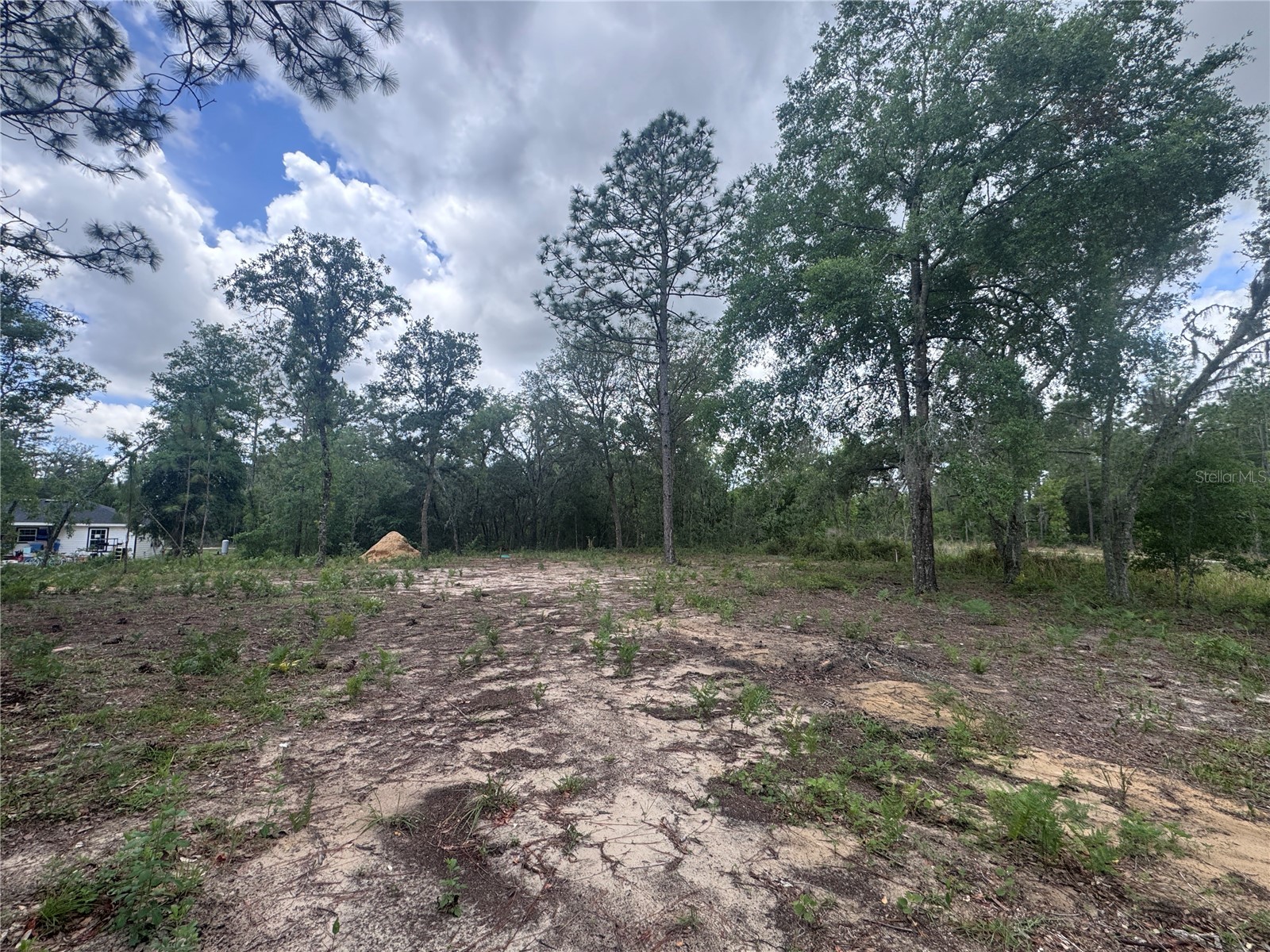 TBD NE 16th Place Williston FL 32696 OM724593 image3