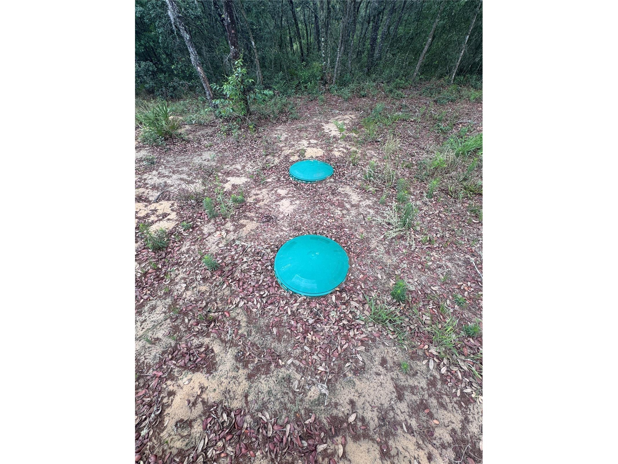 TBD NE 16th Place Williston FL 32696 OM724593 image4