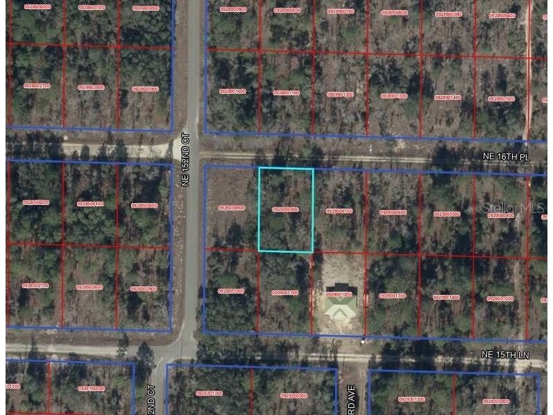 TBD NE 16th Place Williston FL 32696 OM724593 image7