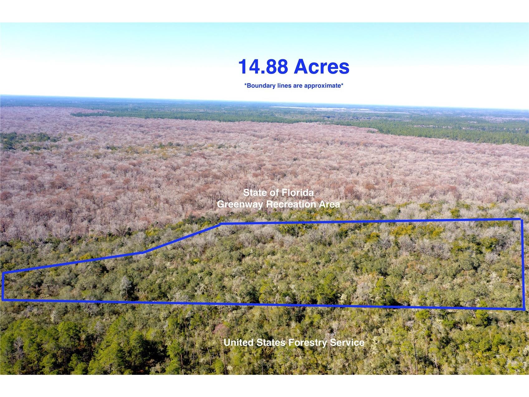 TBD NE 170th Avenue Road Fort Mc Coy FL 32134 OM718242 image1