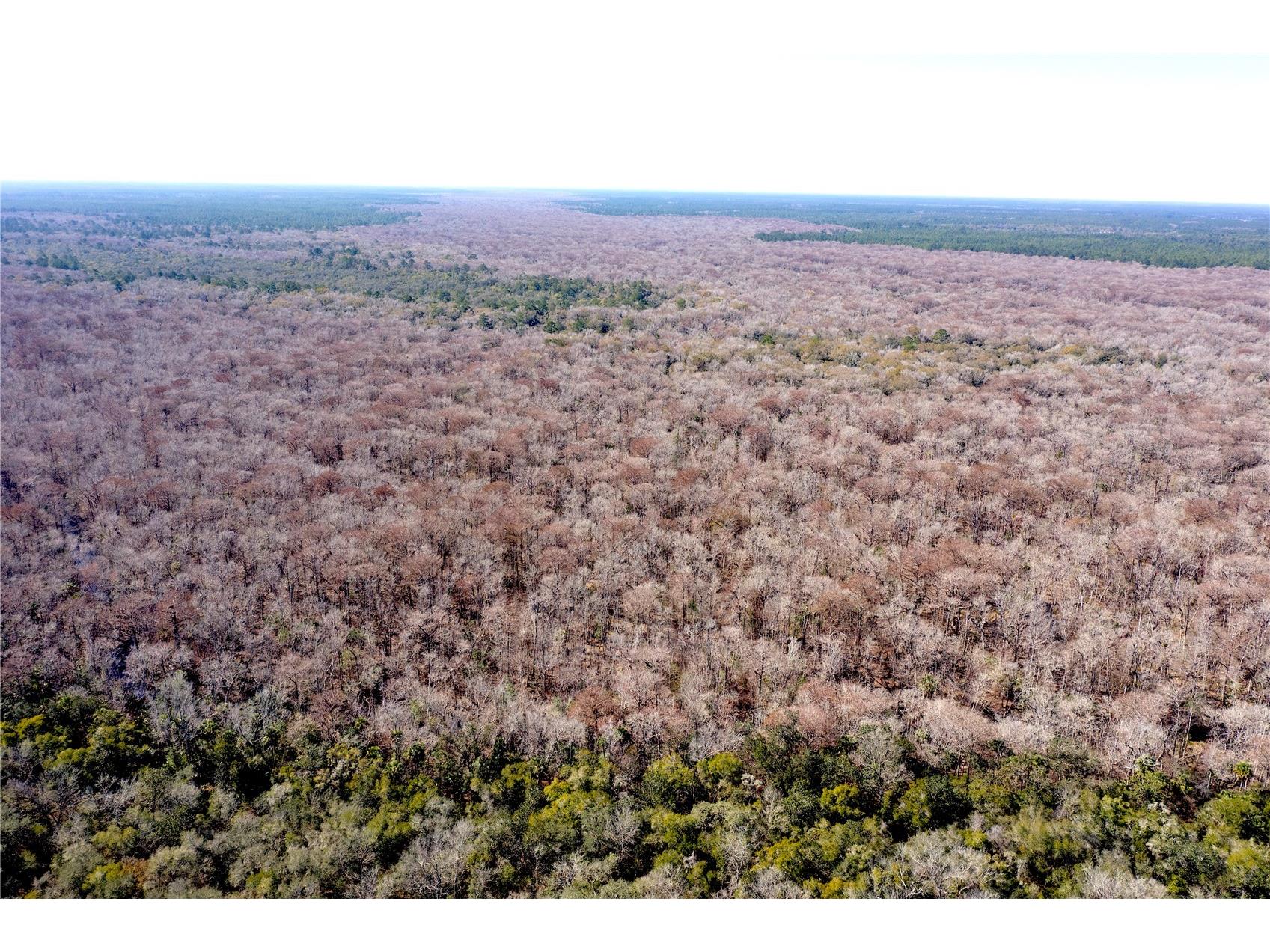 TBD NE 170th Avenue Road Fort Mc Coy FL 32134 OM718242 image2