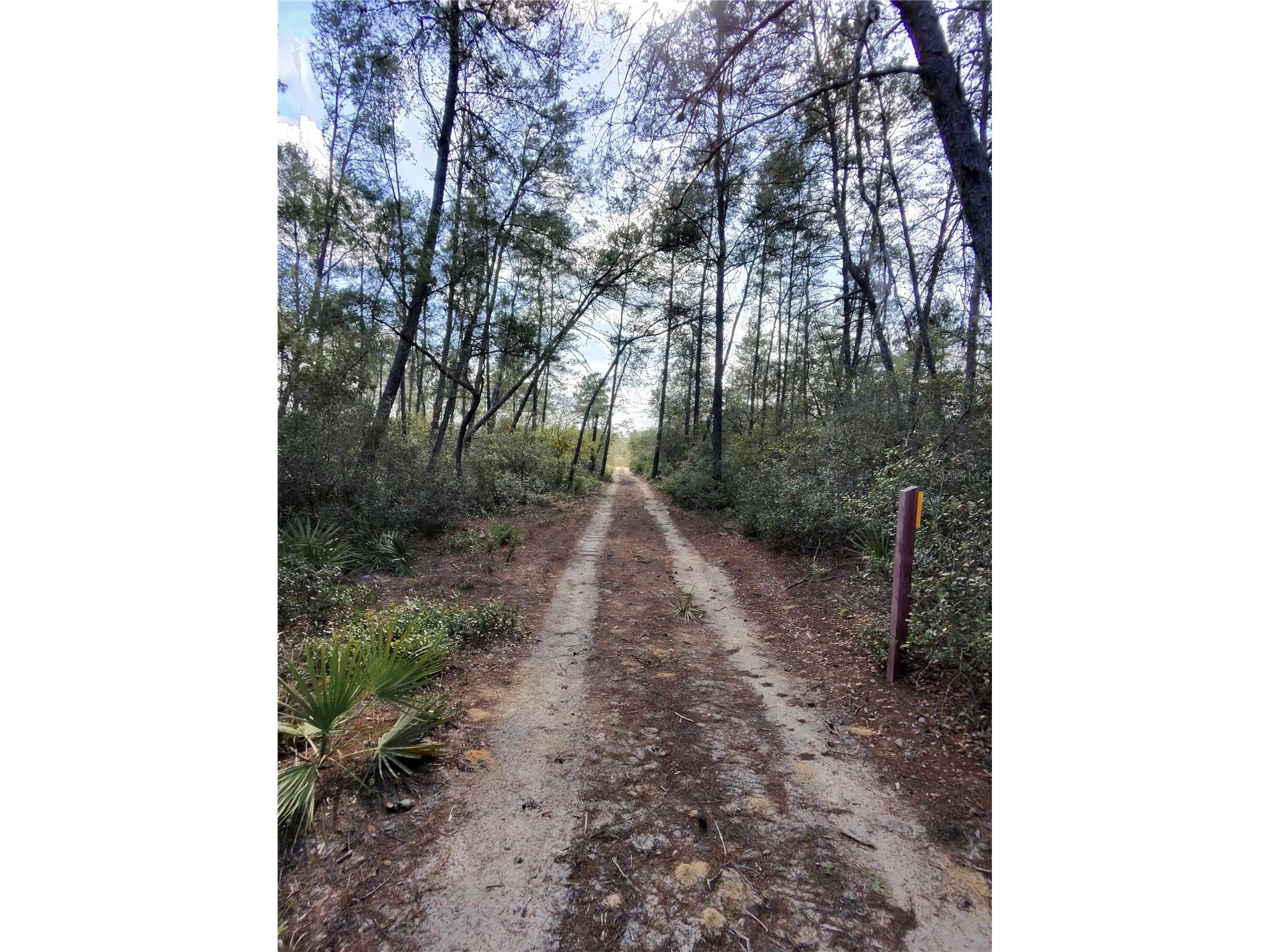 TBD NE 170th Avenue Road Fort Mc Coy FL 32134 OM718242 image3