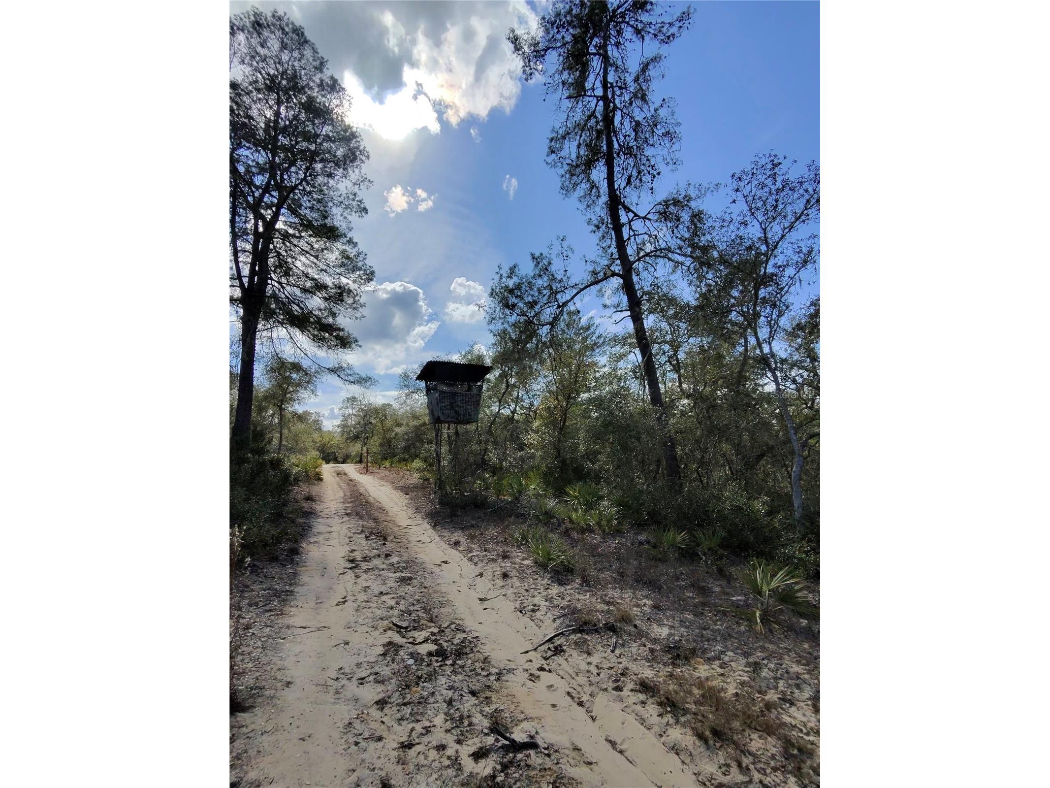 TBD NE 170th Avenue Road Fort Mc Coy FL 32134 OM718242 image6