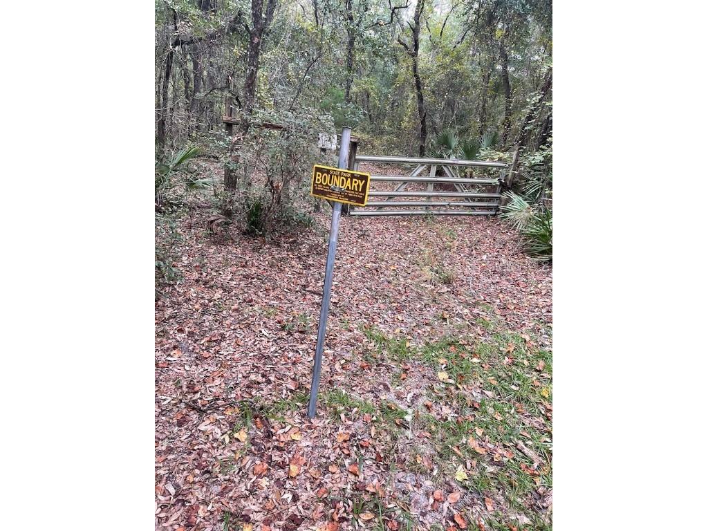 TBD NE 172nd Place Fort Mc Coy FL 32134 OM661025 image1