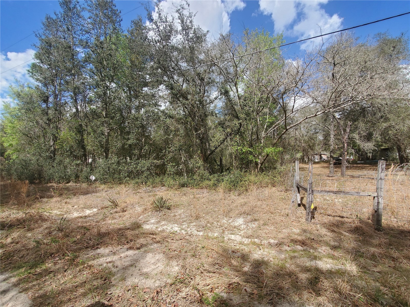 TBD NE 172nd Place Fort Mc Coy FL 32134 OM720104 image2