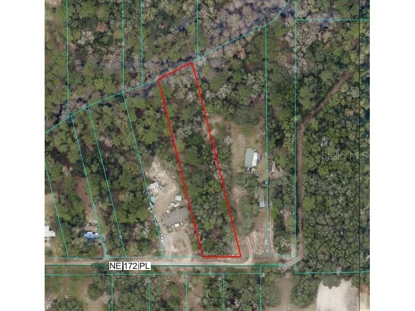 TBD NE 172nd Place Fort Mc Coy FL 32134 OM720104 image3