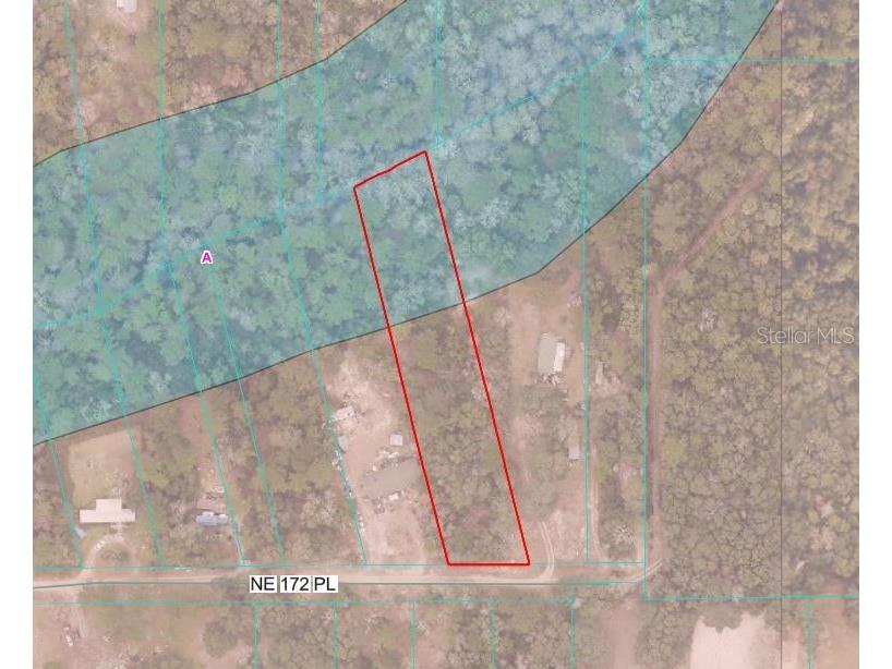 TBD NE 172nd Place Fort Mc Coy FL 32134 OM720104 image5