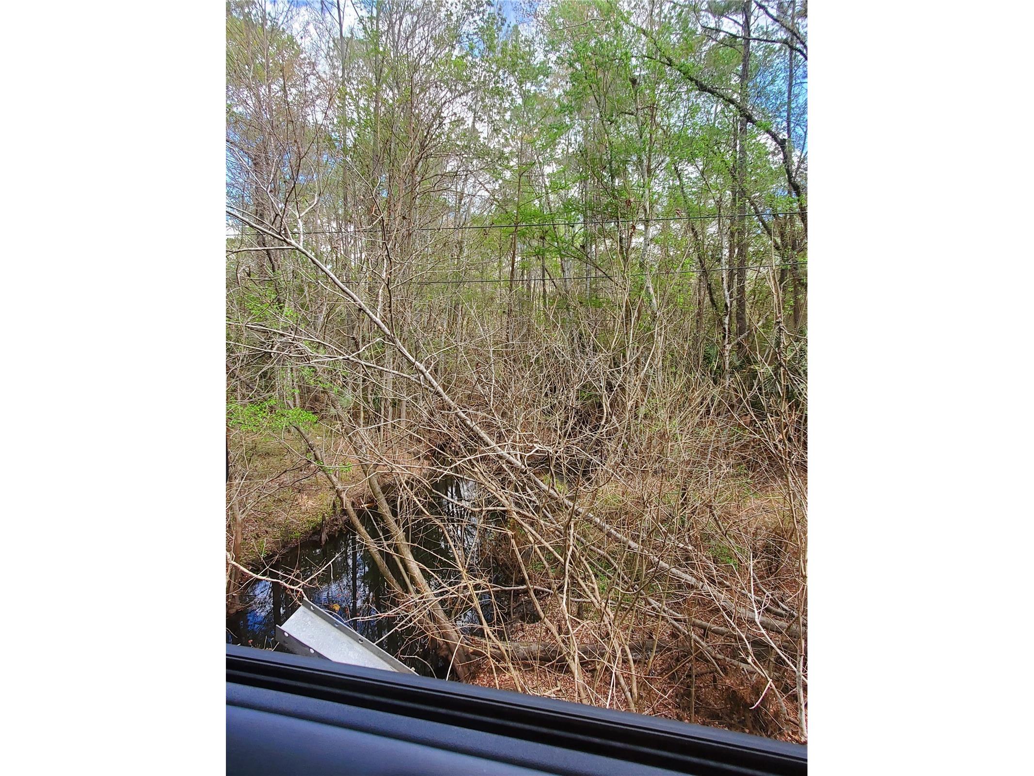 TBD NE 172nd Place Fort Mc Coy FL 32134 OM720104 image6