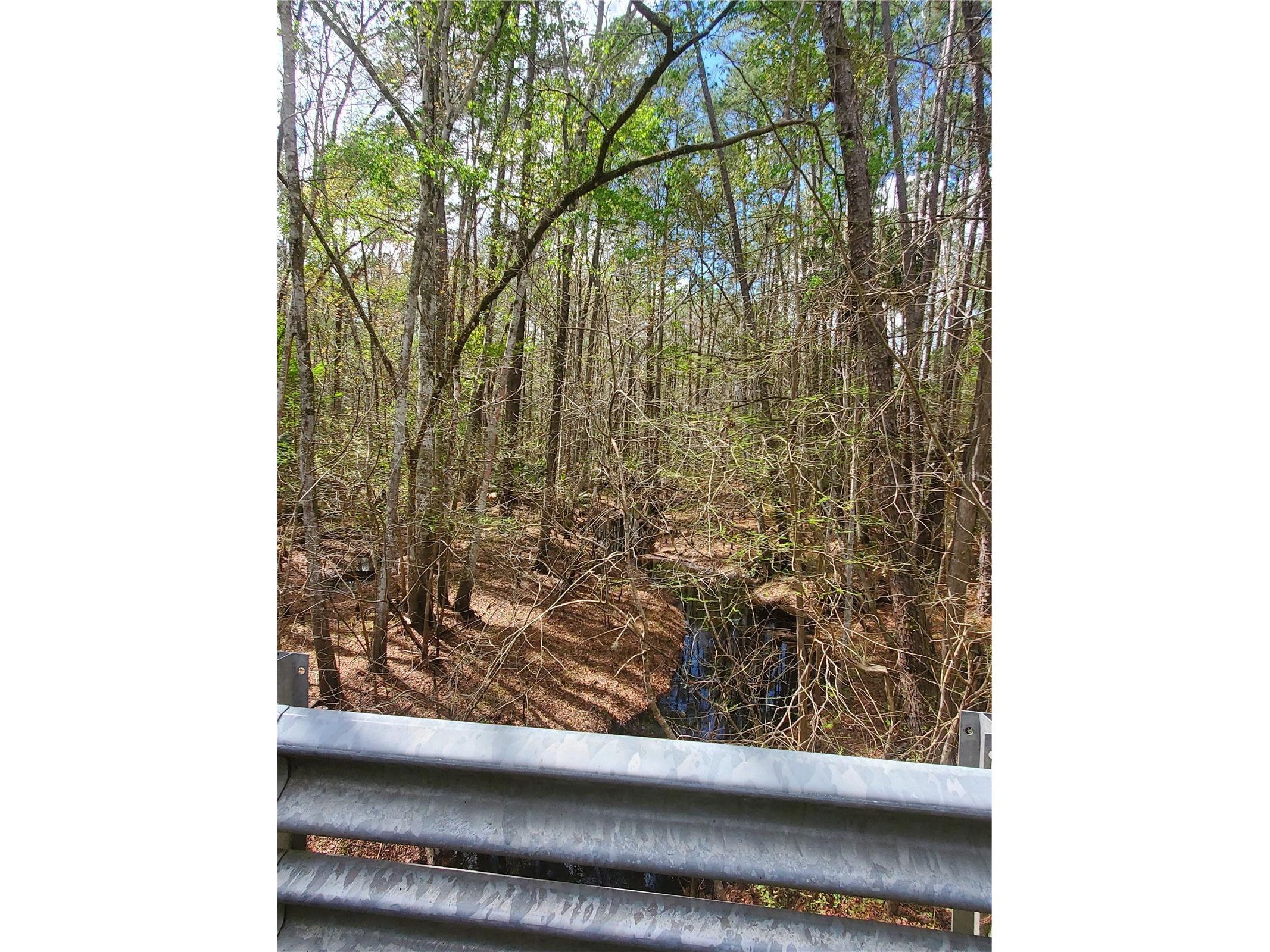 TBD NE 172nd Place Fort Mc Coy FL 32134 OM720104 image7