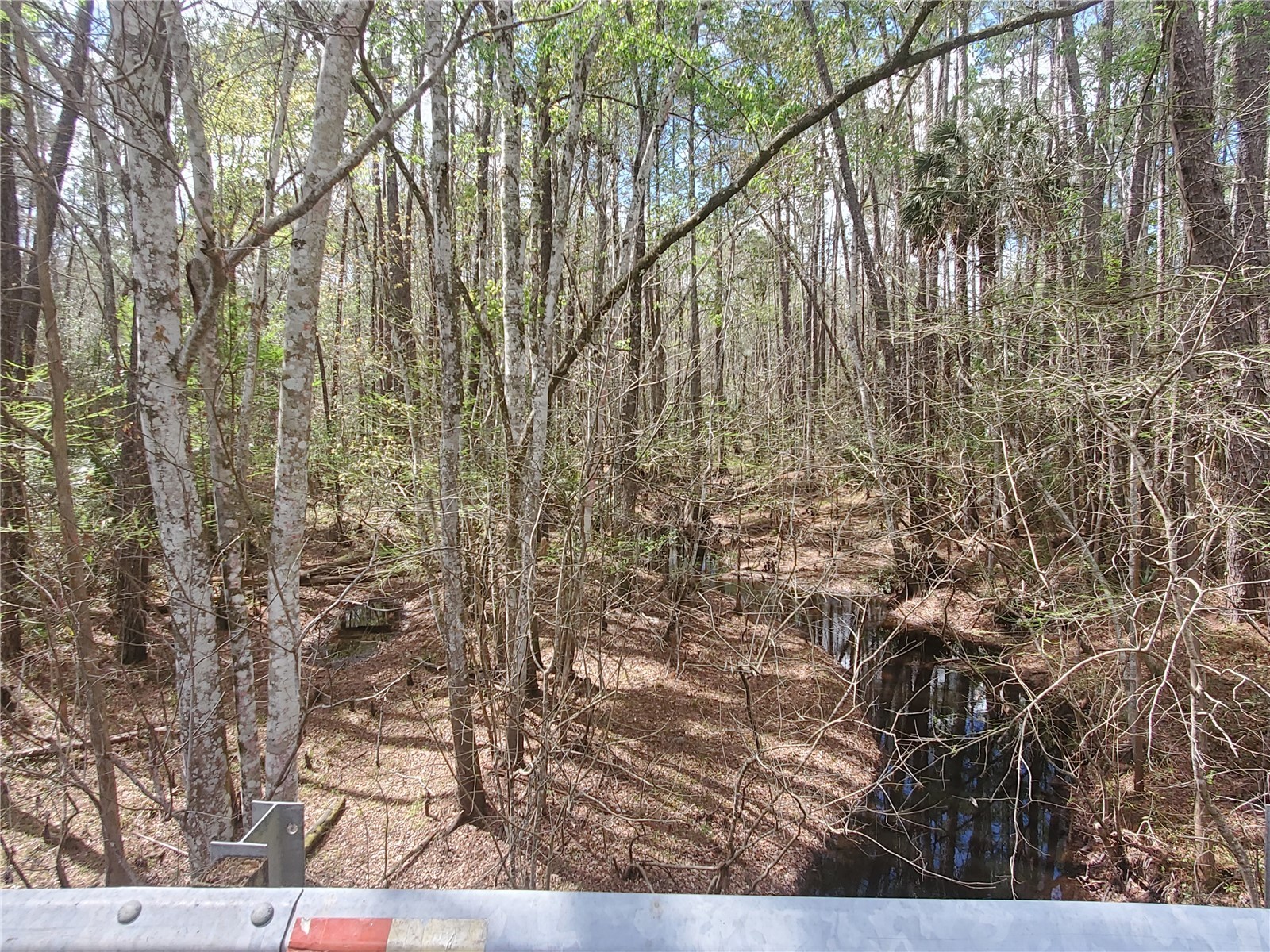 TBD NE 172nd Place Fort Mc Coy FL 32134 OM720104 image8