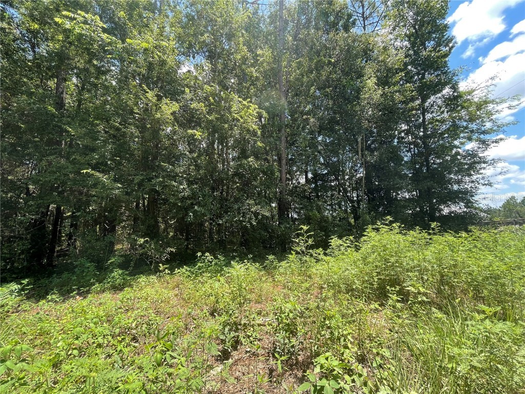 TBD NE 175th Avenue Williston FL 32696 GC519765 image1