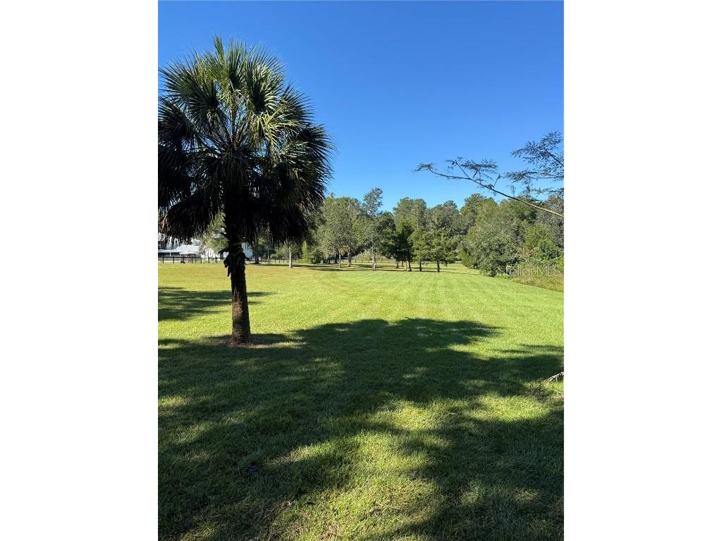TBD NE 185 Avenue Williston FL 32696 GC534269 image8