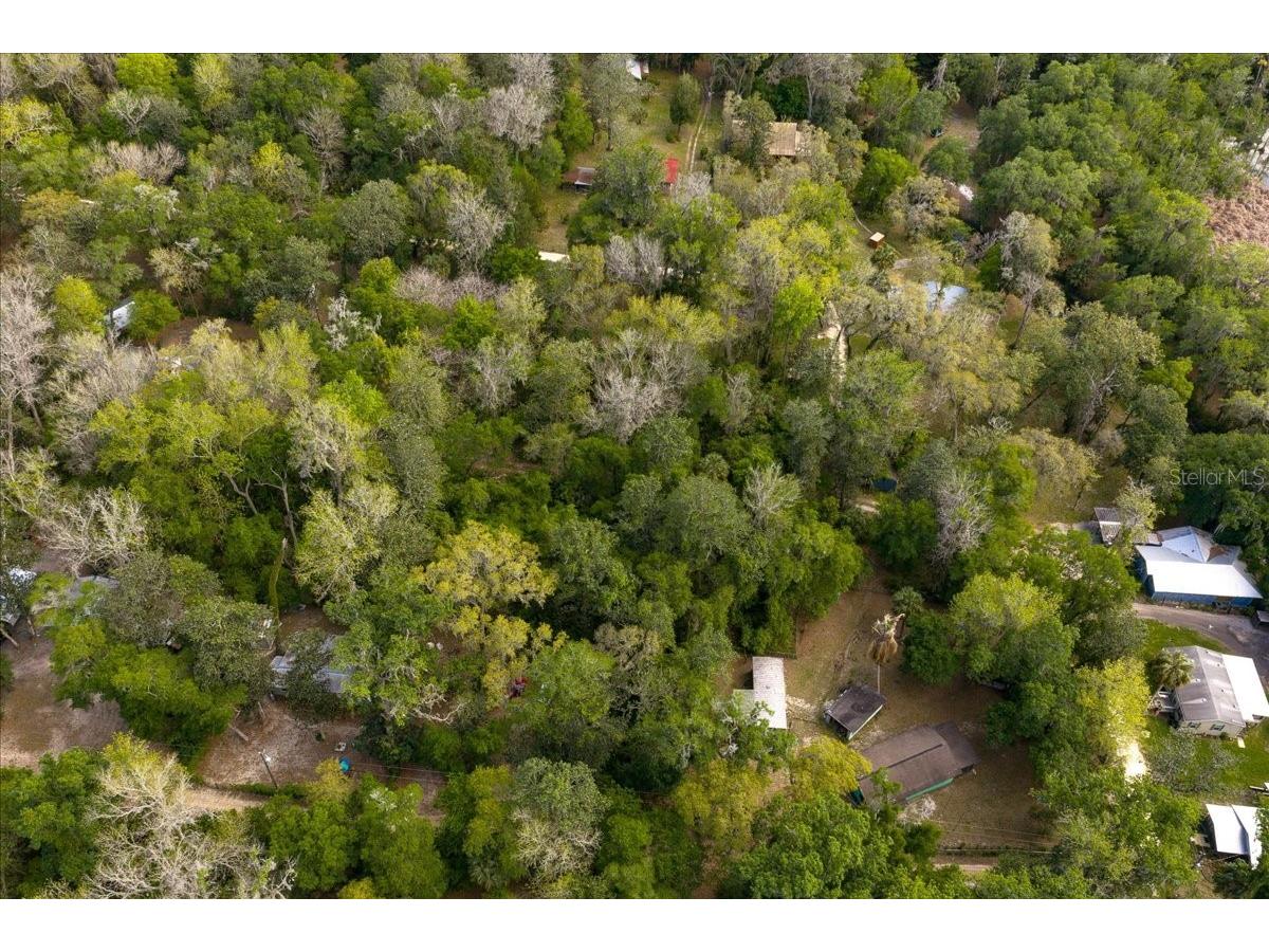 TBD Ne 189th Street Fort Mc Coy FL 32134 OM722616 image16