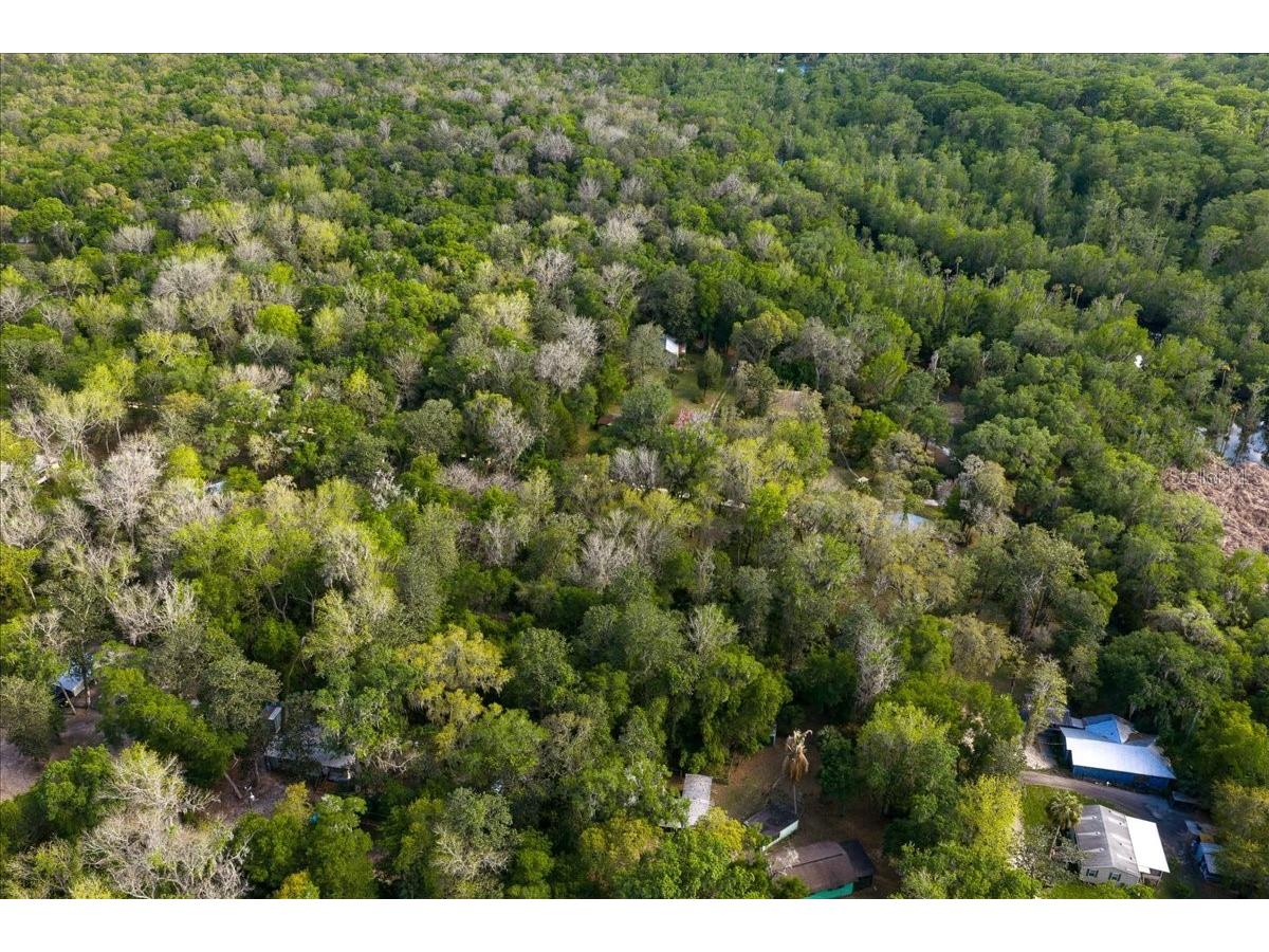 TBD Ne 189th Street Fort Mc Coy FL 32134 OM722616 image2