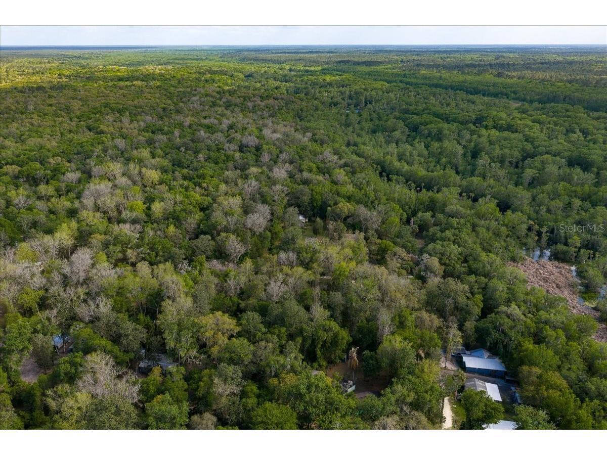 TBD Ne 189th Street Fort Mc Coy FL 32134 OM722616 image3