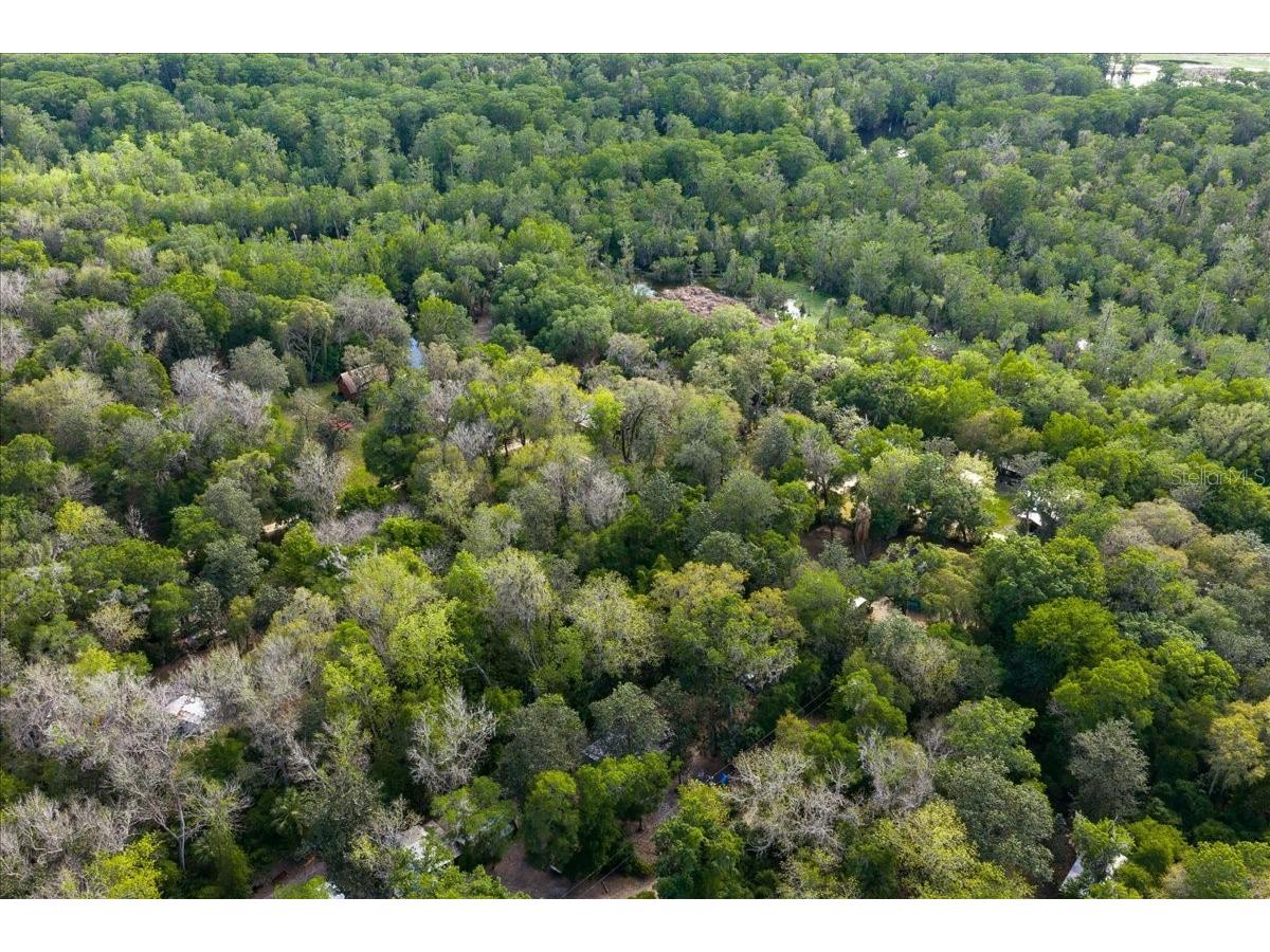 TBD Ne 189th Street Fort Mc Coy FL 32134 OM722616 image4