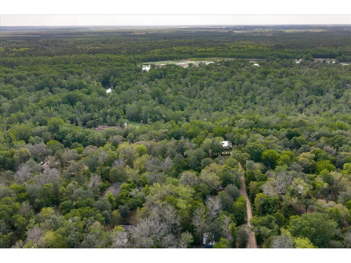 TBD Ne 189th Street Fort Mc Coy FL 32134 OM722616 image5