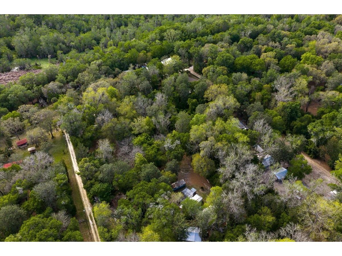 TBD Ne 189th Street Fort Mc Coy FL 32134 OM722616 image7