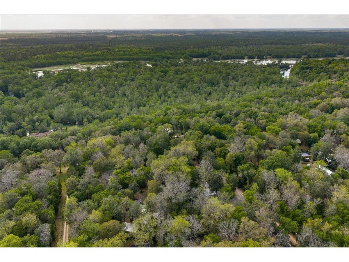 TBD Ne 189th Street Fort Mc Coy FL 32134 OM722616 image8