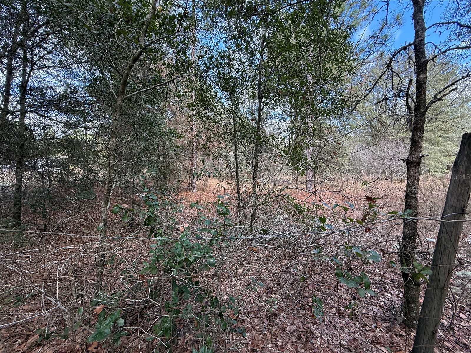 TBD NE 194th Street Citra FL 32113 OM715938 image1