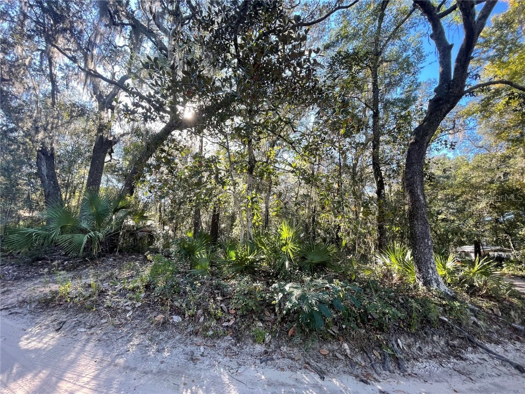 TBD NE 199th Place Fort Mc Coy FL 32134 OM710532 image1