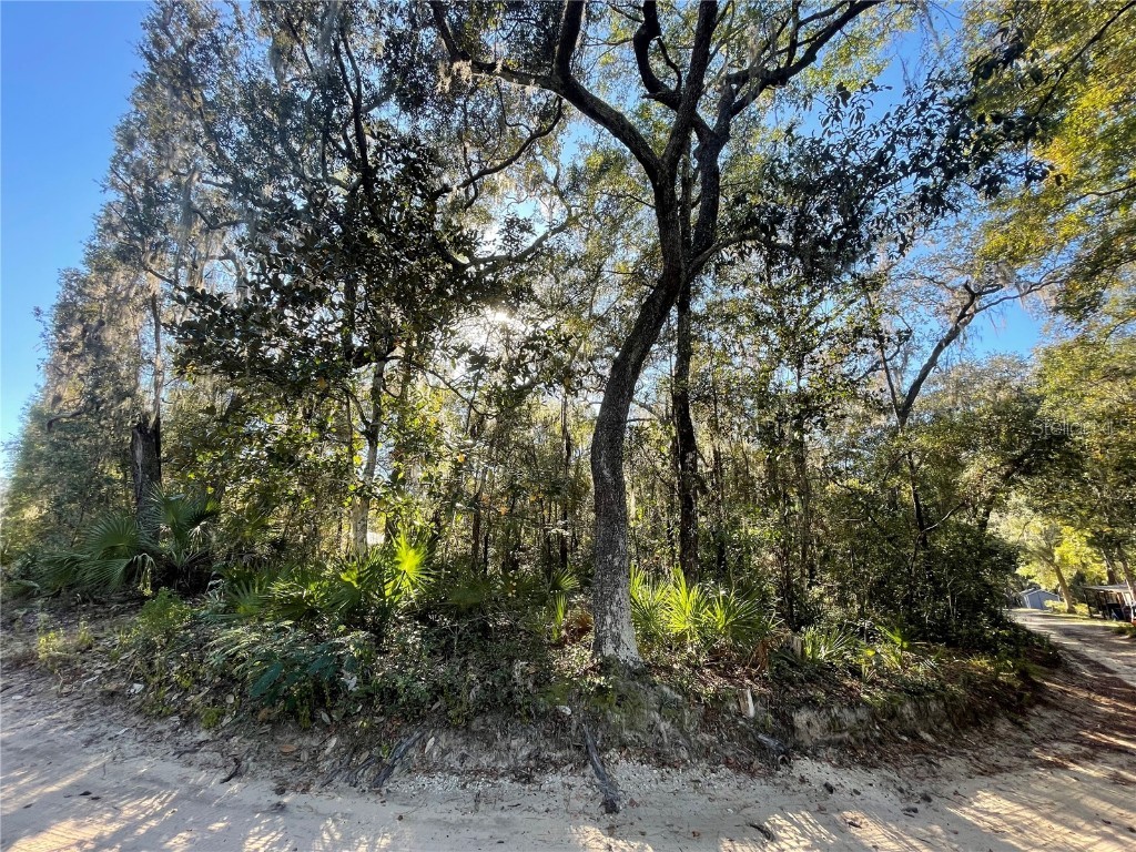 TBD NE 199th Place Fort Mc Coy FL 32134 OM710532 image2