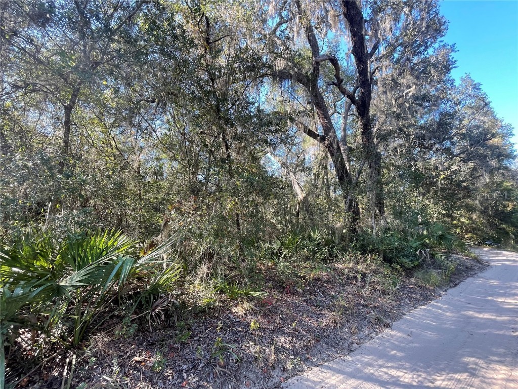 TBD NE 199th Place Fort Mc Coy FL 32134 OM710532 image3