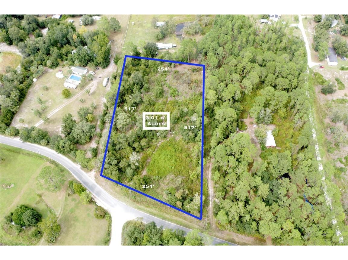 TBD NE 199th Street Road Fort Mc Coy FL 32134 OM664754 image1