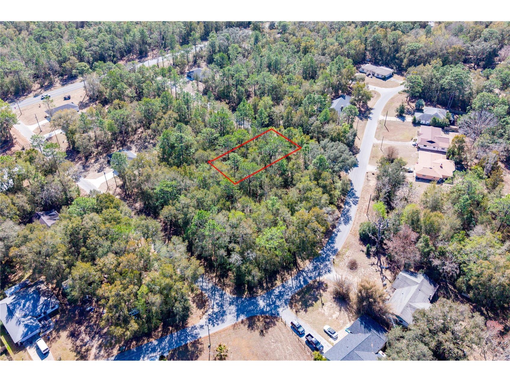 TBD NE 1st Pl Lot 6 Williston FL 32696 GC537767 image2