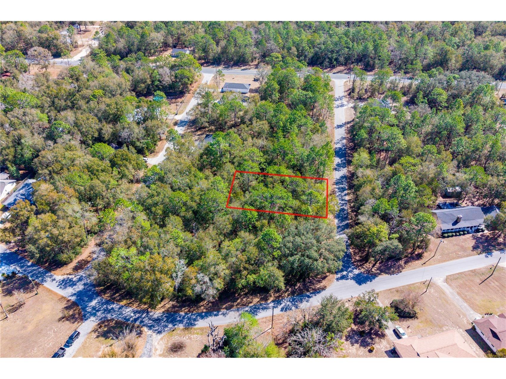TBD NE 1st Pl Lot 6 Williston FL 32696 GC537767 image3